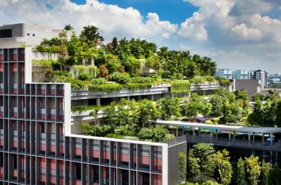 Smart Cities in India: Future of Urban Real Estate